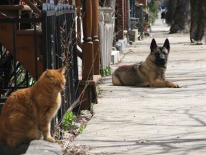 Caramael and Bruce Mtl 26Apr09